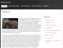 Tablet Screenshot of moisissure.be